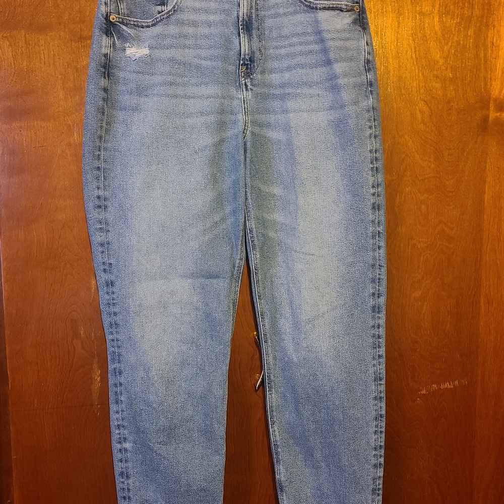 American eagle - Picture 3 of 5